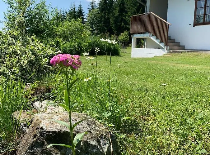 Apartment Bei Der Tischlerei